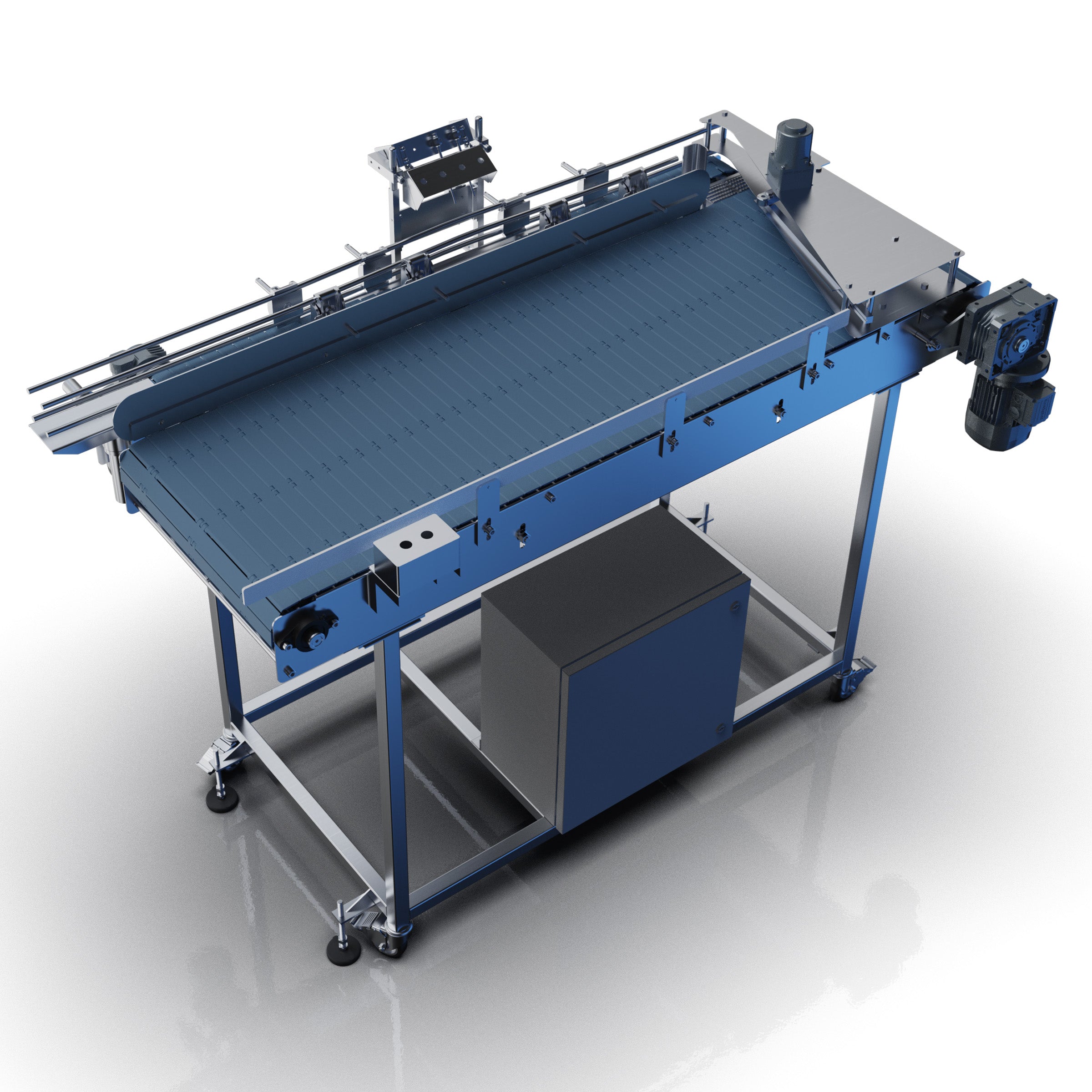Infeed Conveyor Table for Evolution Series - Wild Goose Filling