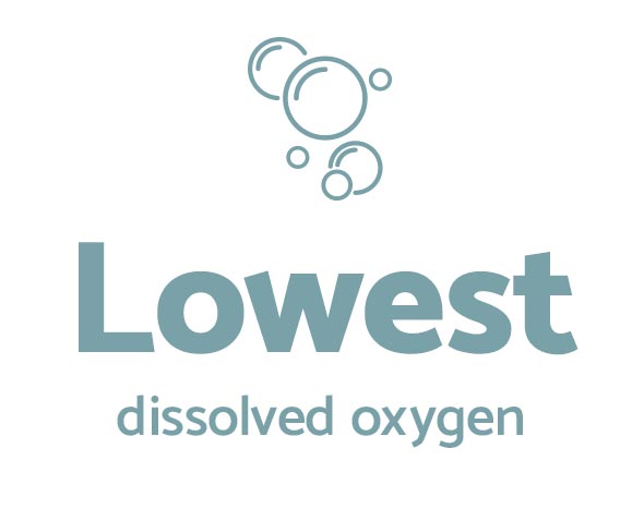 Lowest dissolved oxygen
